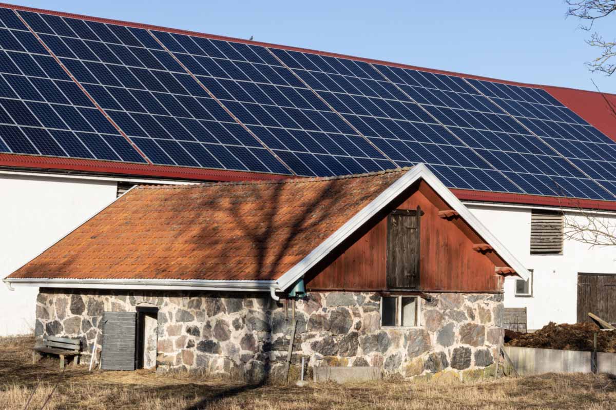 découvrez comment l'installation de panneaux solaires peut devenir une solution rentable pour réduire vos factures d'électricité et contribuer à un environnement durable. inédits conseils sur le coût d'installation, les aides financières et les bénéfices à long terme.
