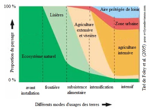 découvrez comment l'impact humain influence la biodiversité sur notre planète. explorez les enjeux environnementaux, les conséquences des activités humaines et les solutions pour préserver notre écosystème et les espèces qui y vivent.