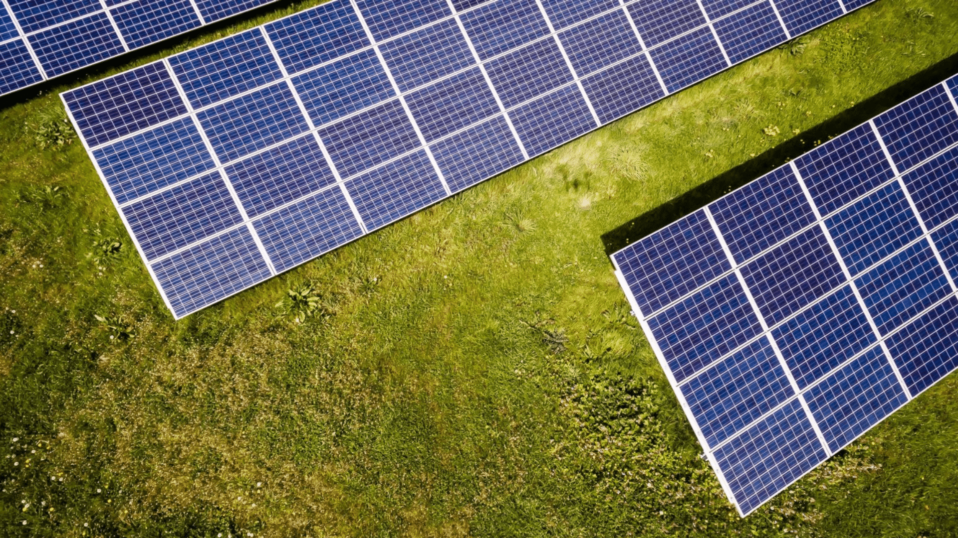 découvrez les principales différences entre les panneaux solaires : panneaux photovoltaïques, thermiques et hybrides. informez-vous sur leur fonctionnement, leurs avantages et comment choisir la solution la plus adaptée à vos besoins énergétiques.