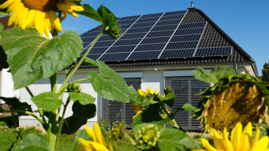 découvrez comment les panneaux solaires façonnent notre avenir énergétique durable. explorez les innovations, les avantages écologiques et les solutions rentables qui font de l'énergie solaire une option incontournable pour un futur propre et respectueux de l'environnement.
