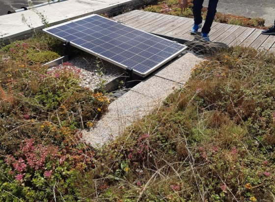 découvrez les différences essentielles entre les panneaux solaires et photovoltaïques. apprenez comment ces technologies convertissent l'énergie du soleil en électricité et en chaleur, et choisissez la solution idéale pour vos besoins énergétiques.