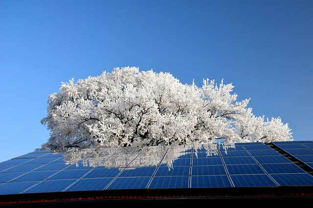 découvrez l'arbre solaire, une innovation écologique qui capte l'énergie solaire pour alimenter vos appareils tout en embellissant votre espace extérieur. alliant esthétisme et technologie durable, cet arbre innovant transforme la lumière du soleil en énergie renouvelable pour un avenir plus vert.