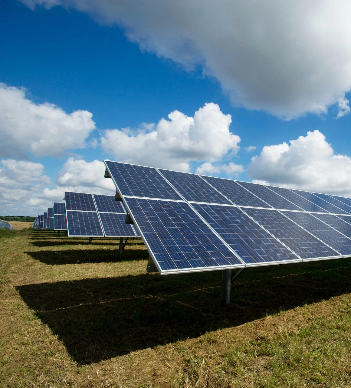 assurance-panneaux-solaires Tout savoir sur l'assurance panneau solaire photovoltaïque