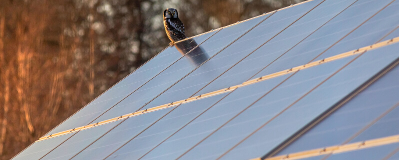 avantages-kit-photovoltaique-9 Découvrez les avantages du kit photovoltaïque pour l'autoconsommation