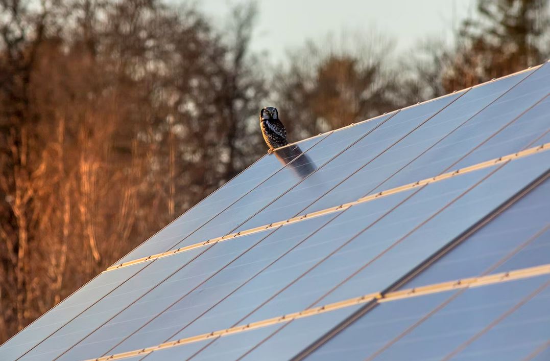 avantages-panneau-photovoltaique-9kw Pourquoi investir dans un panneau photovoltaïque 9kw peut transformer votre facture d'électricité