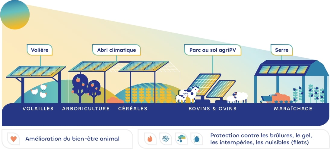 avantages-panneaux-photovoltaiques-57 Les avantages des panneaux photovoltaïques en France