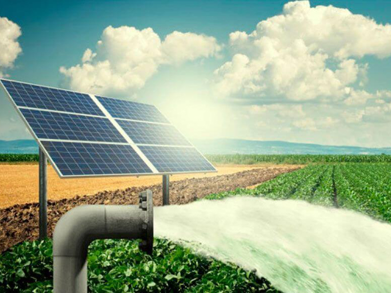avantages-panneaux-solaires-agricoles-3 Les avantages des panneaux solaires photovoltaïques pour les bâtiments agricoles