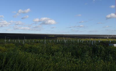 avantages-panneaux-solaires-agricoles-5 Les avantages des panneaux solaires photovoltaïques pour les bâtiments agricoles