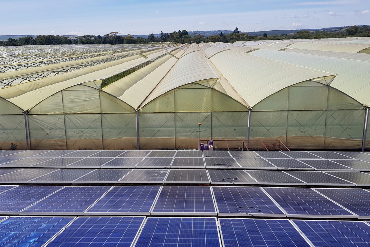 avantages-panneaux-solaires-thomson-3 Découvrez les avantages des panneaux solaires photovoltaïques Thomson
