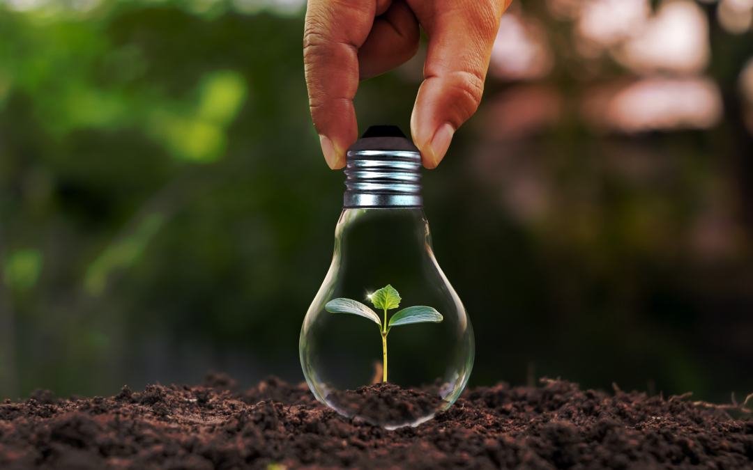 avenir-durable-et-succes S'engager pour un avenir durable : les clés du succès commercial