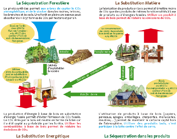 bilan-energetique-durable Bilan énergétique : comprendre les enjeux pour un avenir durable