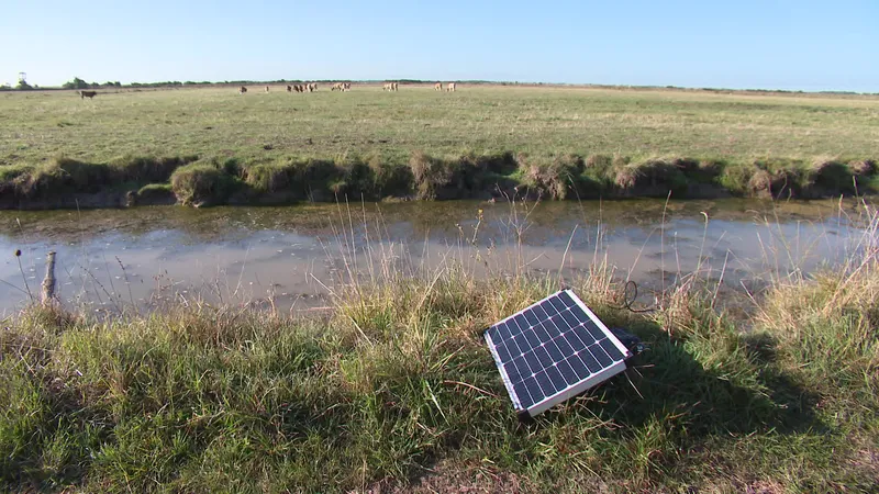 bouees-solaires Comprendre l'importance des bouées maritimes solaires équipées de panneaux photovoltaïques