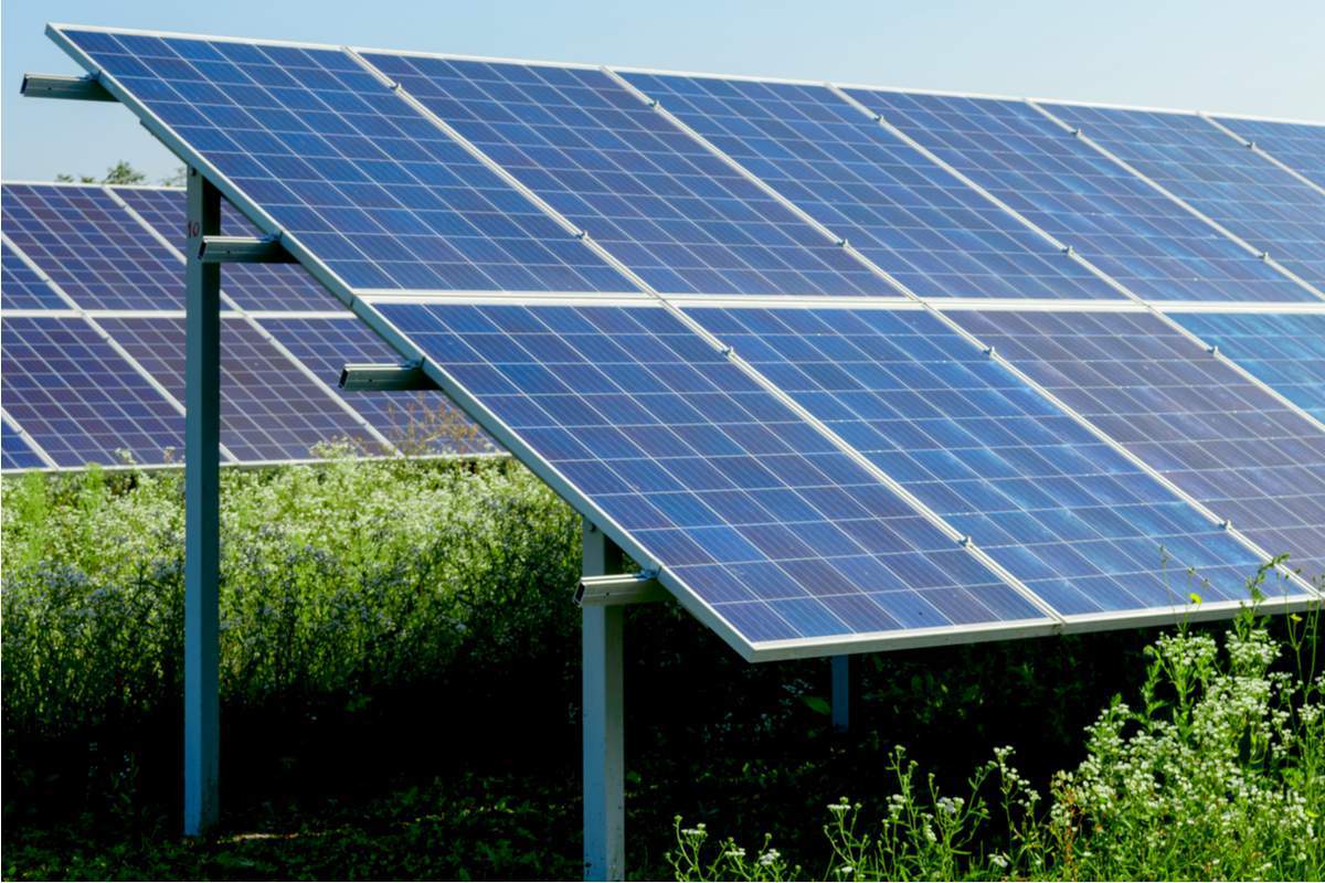 cellule-vs-panneau-solaire-1 Différence entre cellule photovoltaïque et panneau solaire : quel choix pour votre installation ?