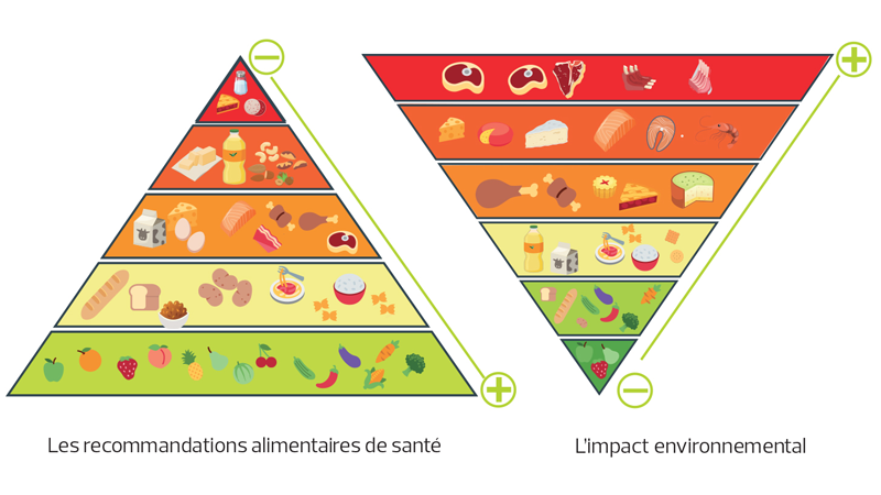 choix-alimentaires-et-environnement Comprendre l'impact de nos choix alimentaires sur l'environnement