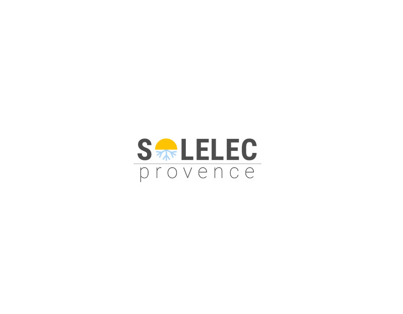 choix-solutions-solelec Comparatif des solutions Solelec : quelle option choisir ?