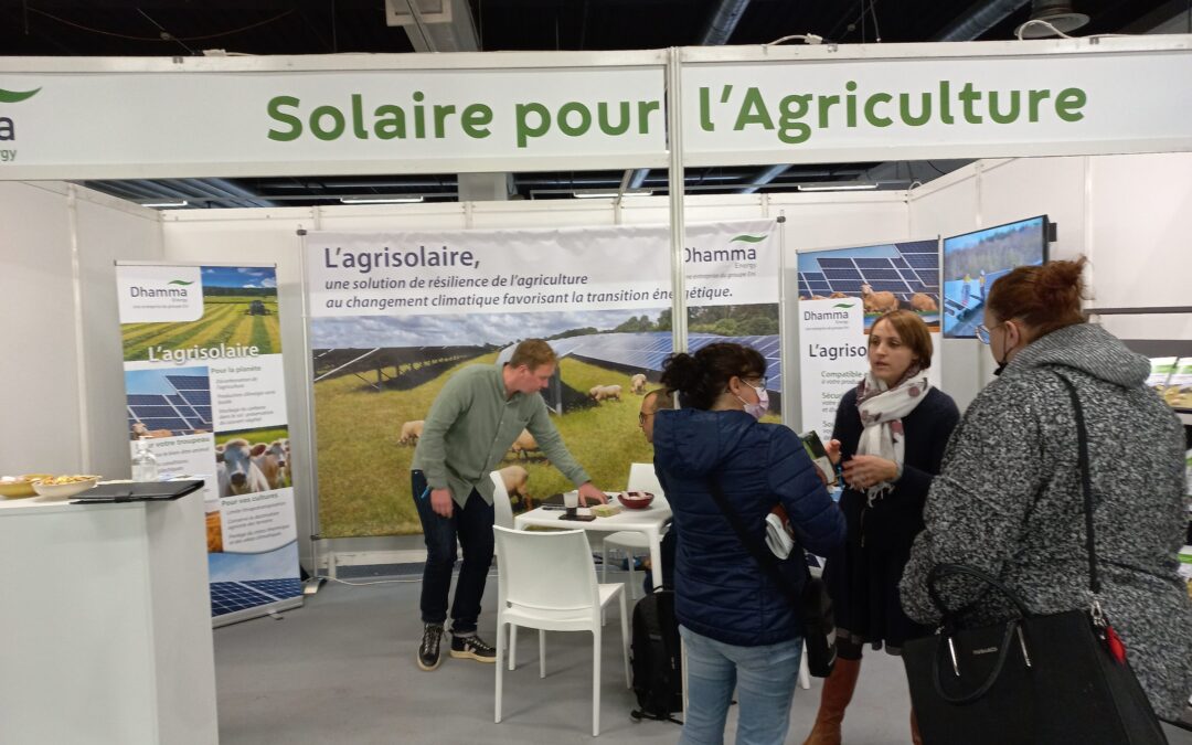 comparatif-dhamma-solar-2 Comparatif des solutions Dhamma Solar pour l'énergie renouvelable