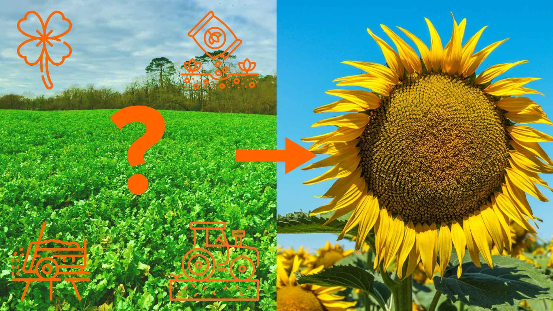 comparatif-greensolver-1 Comparatif des solutions proposées par Greensolver