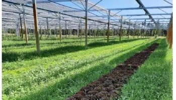 comparatif-voltalia-2 Comparatif des offres de Voltalia