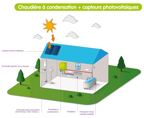 couplage-panneaux-photovoltaiques Peut-on coupler des panneaux photovoltaïques avec d'autres énergies renouvelables ?