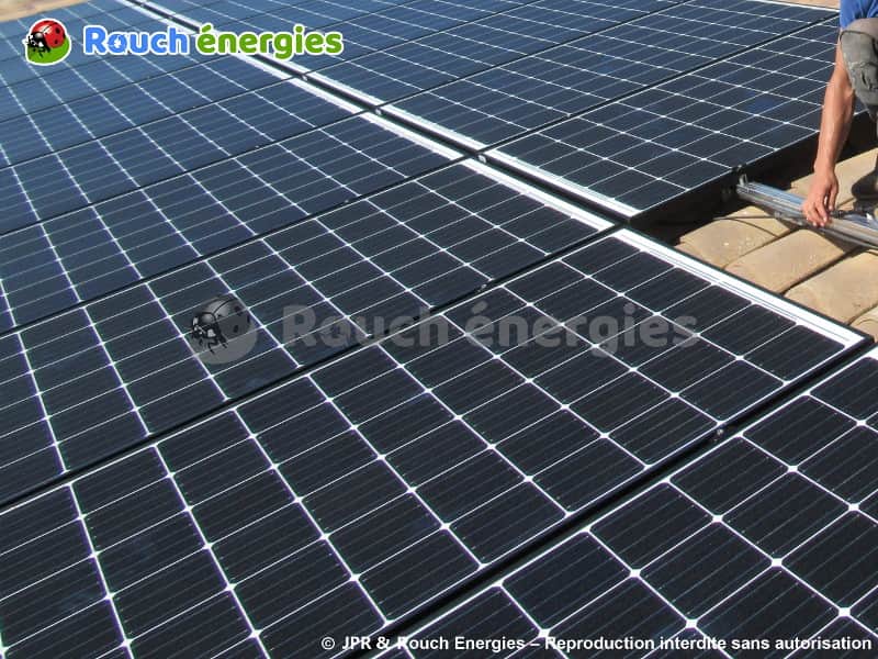découvrez les différences clés entre les panneaux solaires et photovoltaïques. apprenez comment chaque technologie fonctionne, leurs avantages respectifs et quelle option est la mieux adaptée à vos besoins énergétiques.