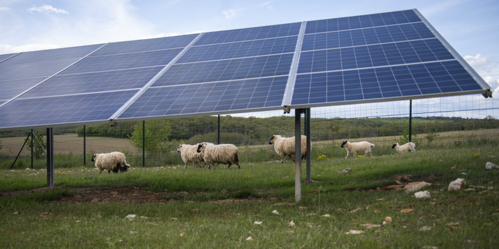 economie-denergie-solaire-1 Solaire pas cher : comment économiser sur votre facture d'énergie