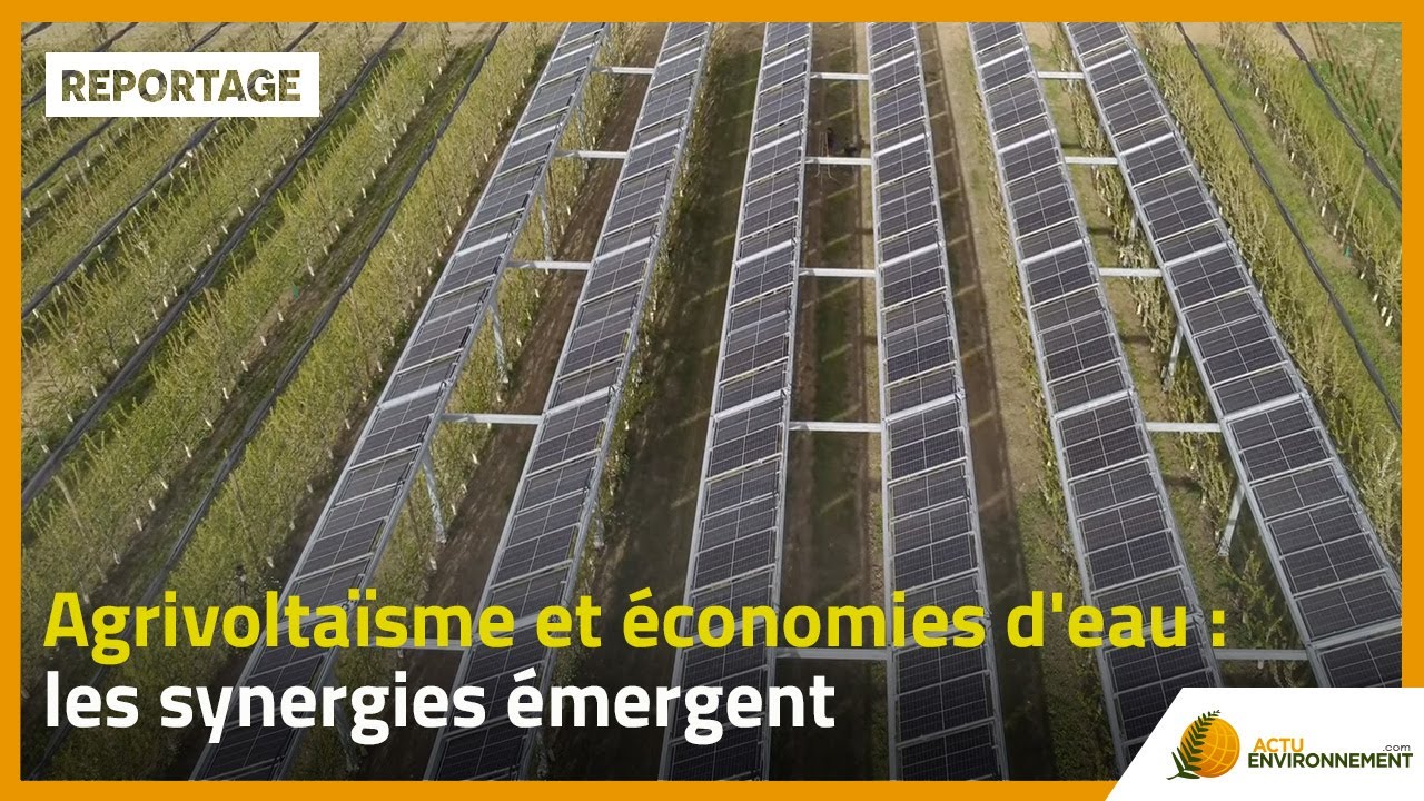 economies-energie-solaire-8 Boostez vos économies d'énergie avec le solatr