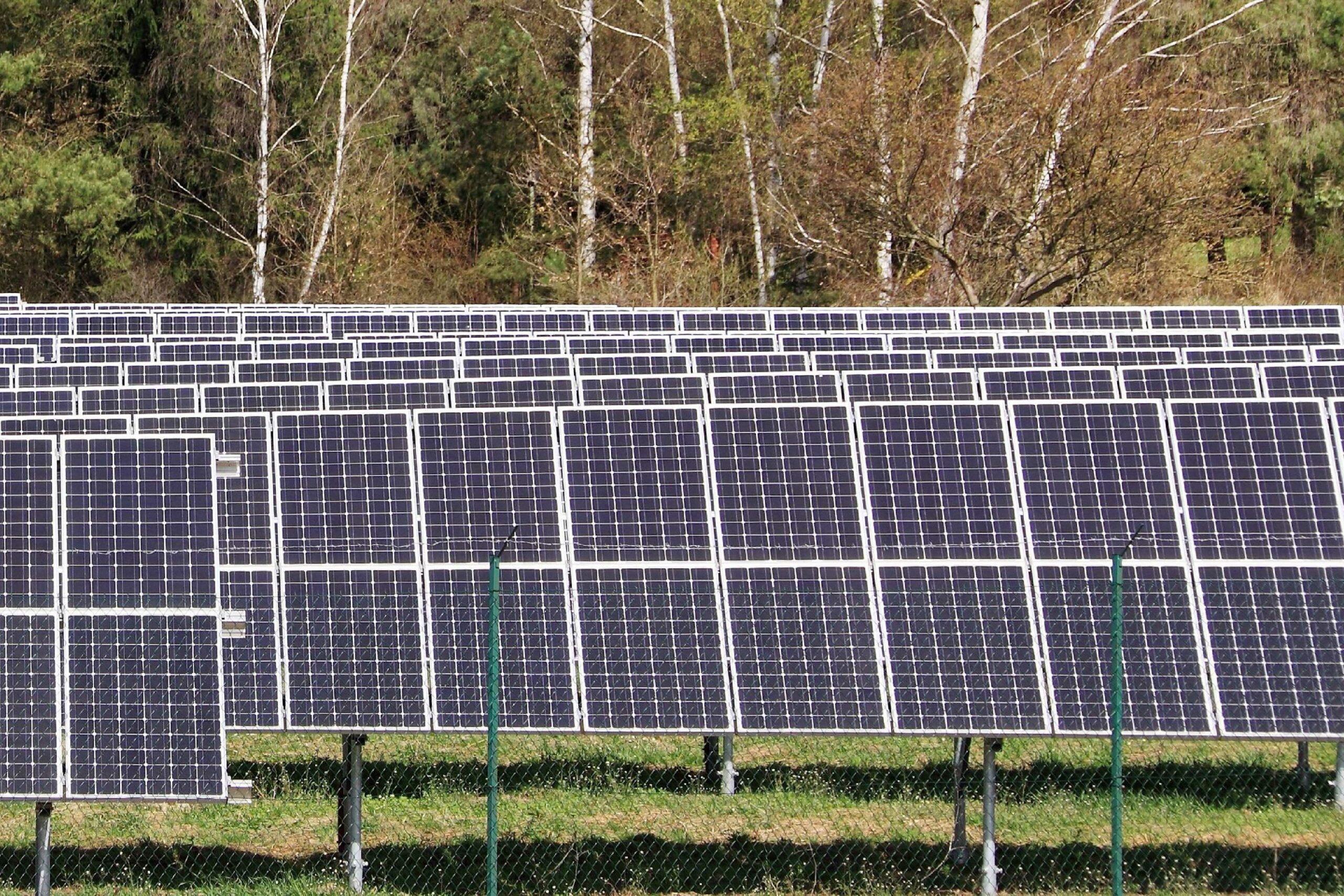 economies-panneaux-photovoltaiques-15 Comment les panneaux photovoltaïques contribuent à vos économies d'énergie