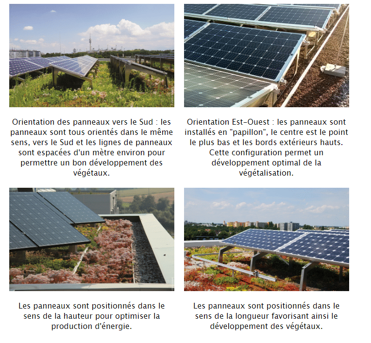 efficacite-panneaux-solaires La puissance des panneaux solaires photovoltaïques : comprendre leur fonctionnement et leur efficacité