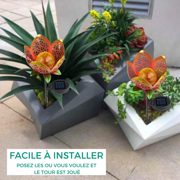 fleur-solaire fleur panneau solaire