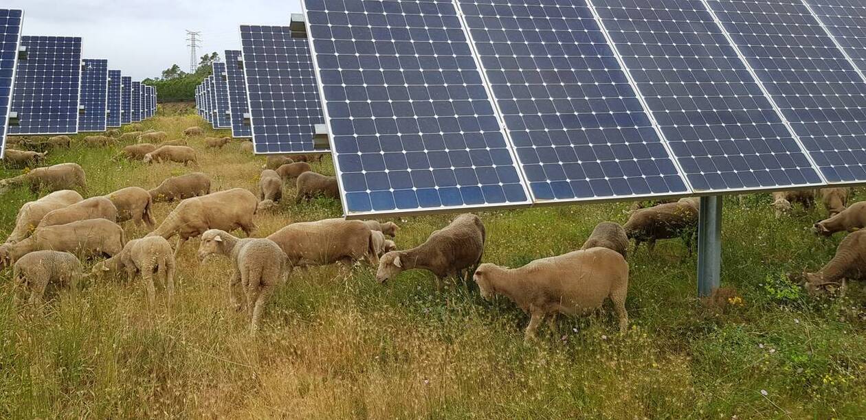 hauteur-panneaux-solaires-1 Panneaux solaires photovoltaïques : à quelle hauteur les installer pour un rendement optimal