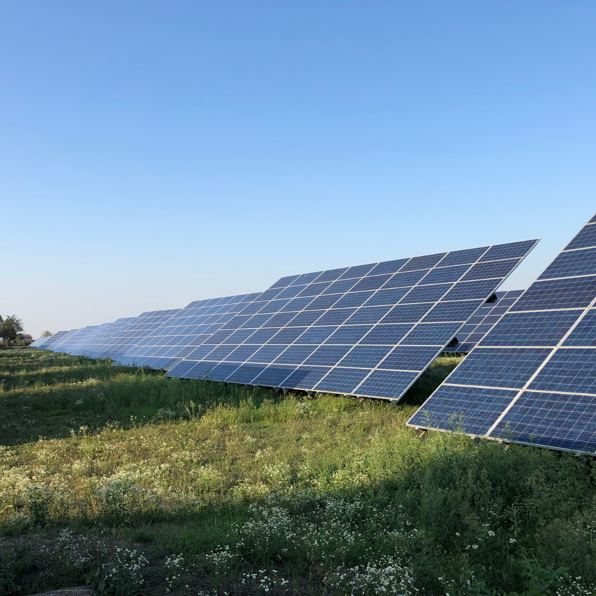 investir-photovoltaique Pourquoi investir dans le photovoltaïque : une opportunité pour votre entreprise