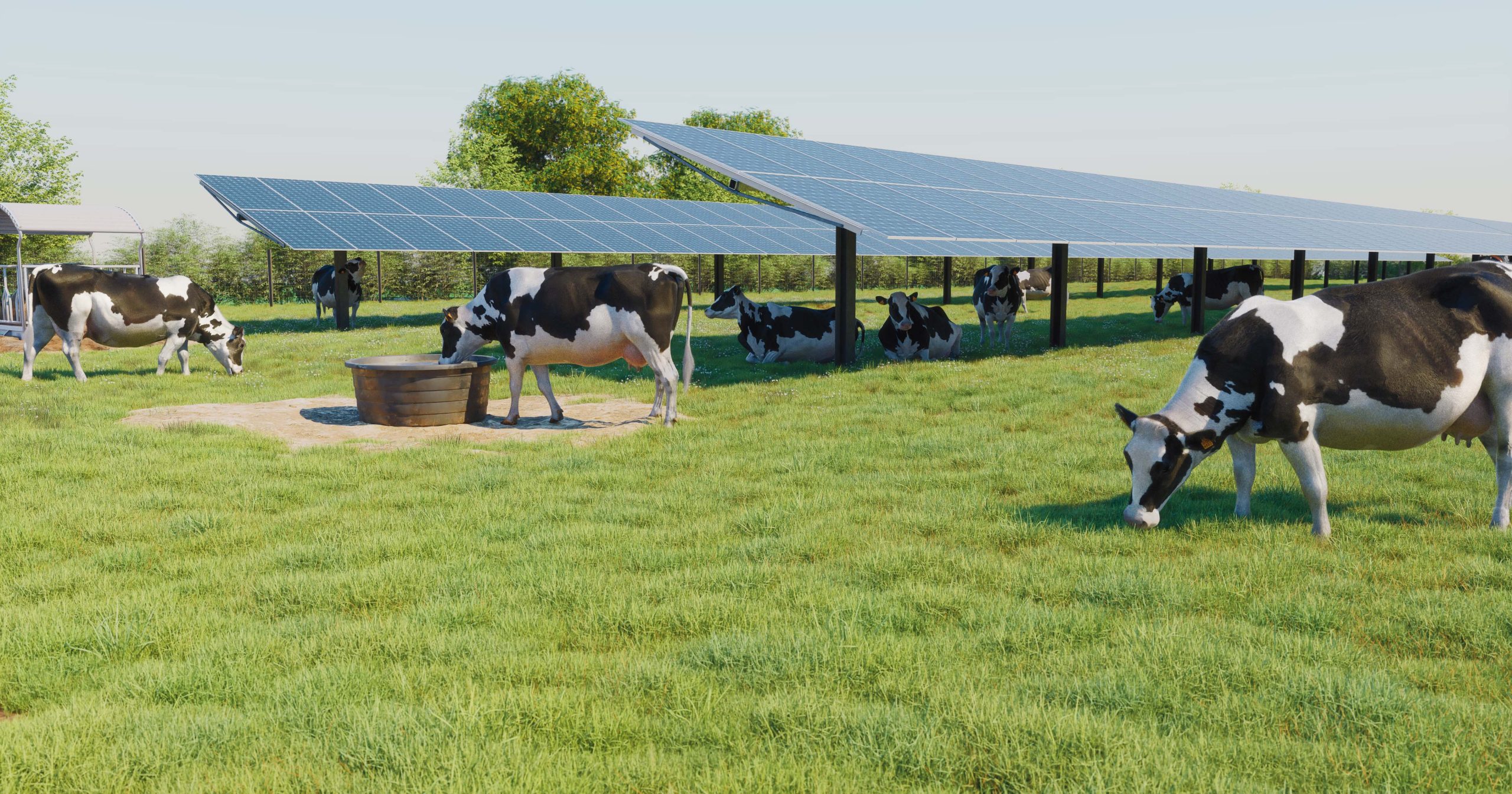 meilleures-solutions-tse-scaled Comparatif des meilleures solutions TSE pour entreprises