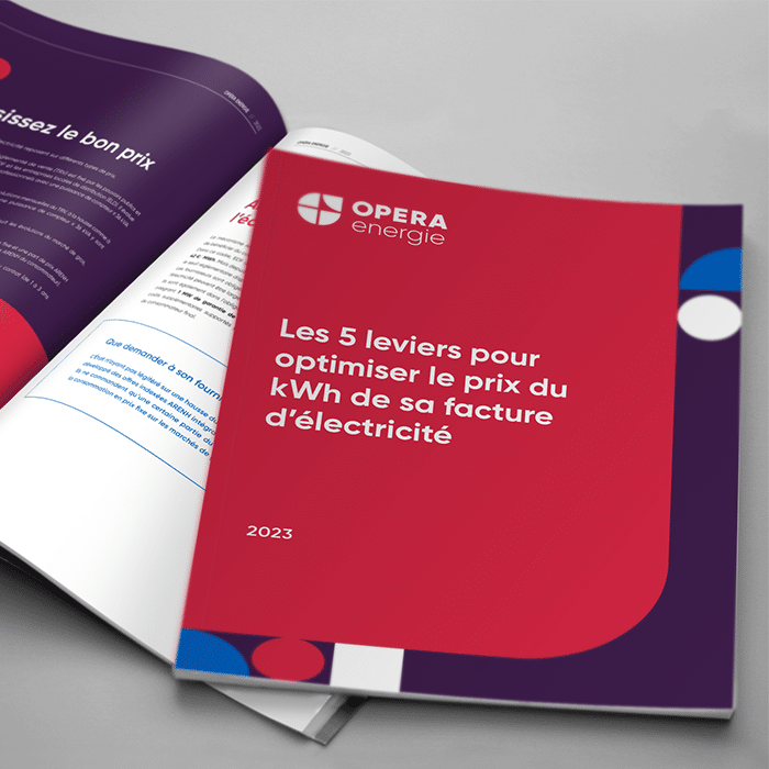 optimiser-energie Panneau électrique : optimiser la gestion de votre énergie