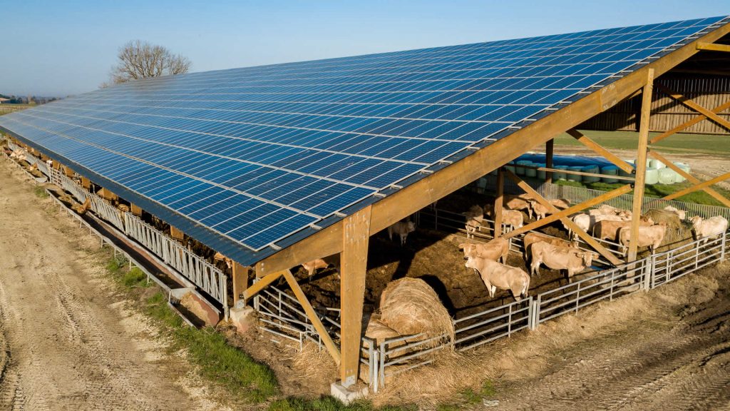 panneau-solaire-agricole Investir dans un panneau solaire agricole : un choix rentable et durable