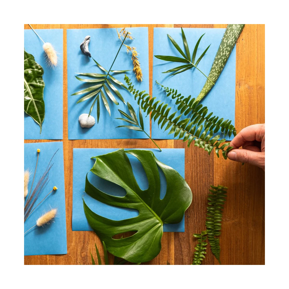 découvrez le papier solaire, une innovation éco-responsable qui transforme la lumière en énergie. idéal pour des projets créatifs ou des solutions durables, ce matériau révolutionnaire explore les nouvelles frontières de l'énergie renouvelable.