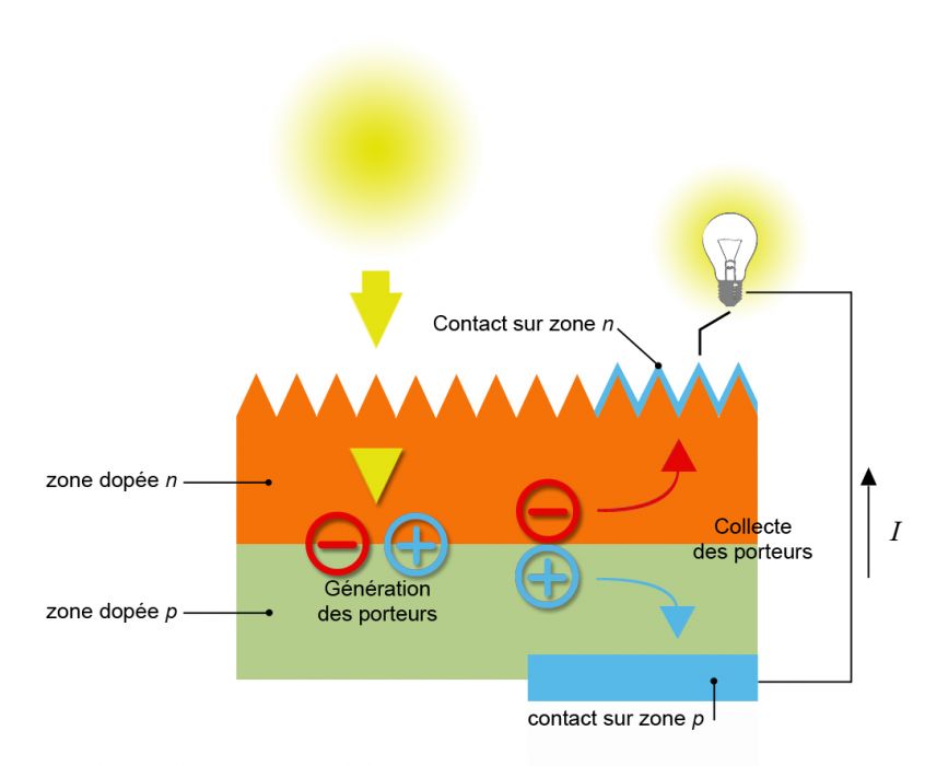 panneau-vs-cellule-solaire Différence entre panneau solaire et cellule photovoltaïque