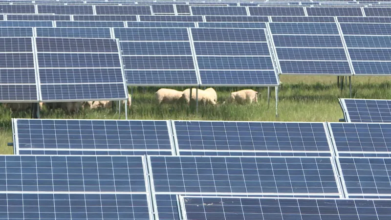 panneaux-solaires-17-2 panneau solaire charente maritime