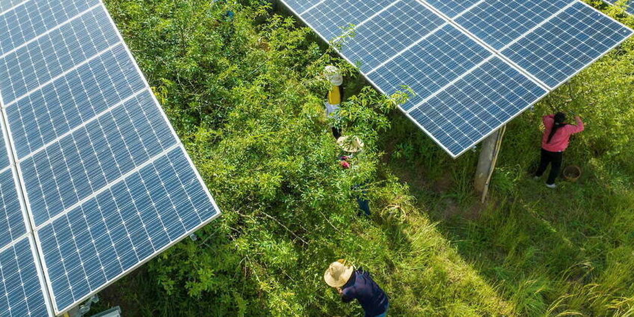 panneaux-solaires-chinois-3 Les panneaux solaires photovoltaïques chinois : une révolution énergétique en cours