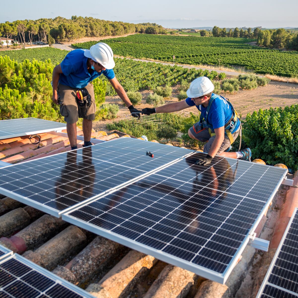 panneaux-solaires-rentables-99 Le coût des panneaux solaires : un investissement rentable à long terme