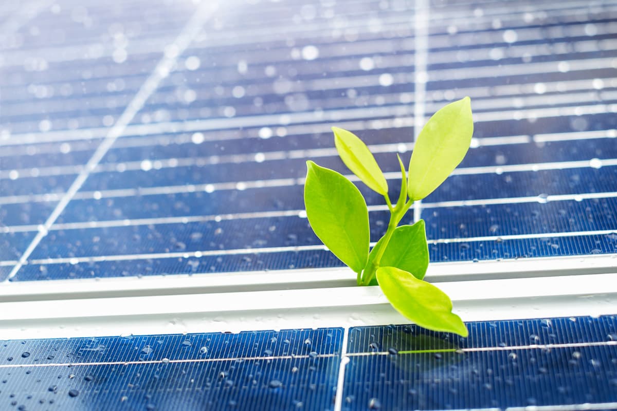 découvrez l'importance du recyclage des panneaux solaires pour un avenir durable. apprenez comment les matériaux peuvent être réutilisés, réduisant ainsi l'impact environnemental et contribuant à une économie circulaire.