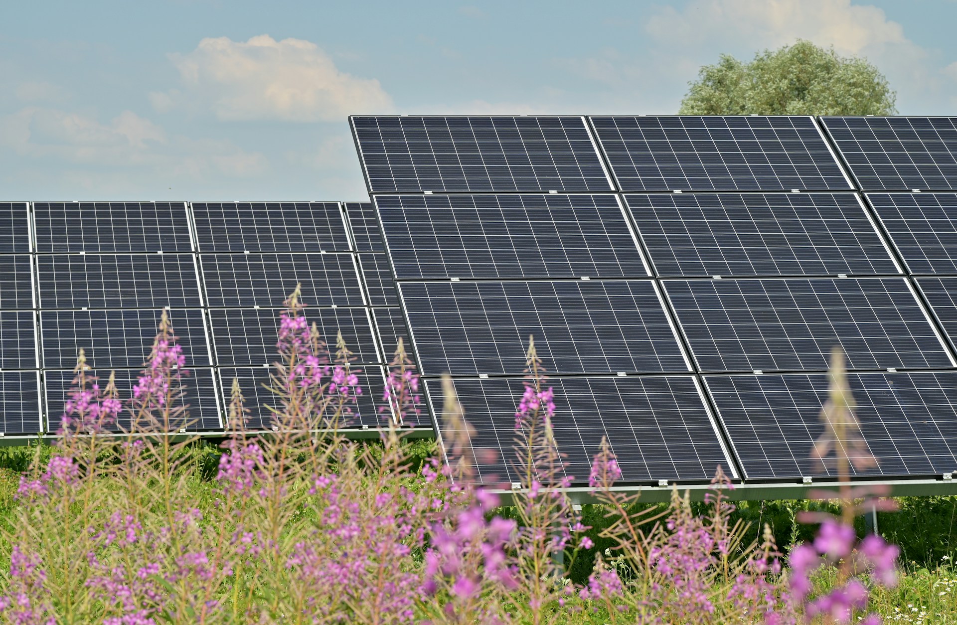 rentabilite-panneaux-photovoltaiques-8 Le coût des panneaux photovoltaïques : un investissement rentable ?