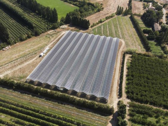 serre-solaire-3 serre avec panneau solaire