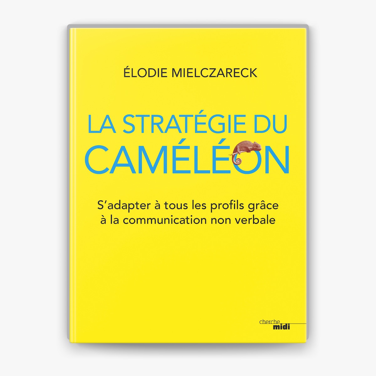 strategie-cameleon Caméléon diffusion : une stratégie innovante pour séduire vos clients