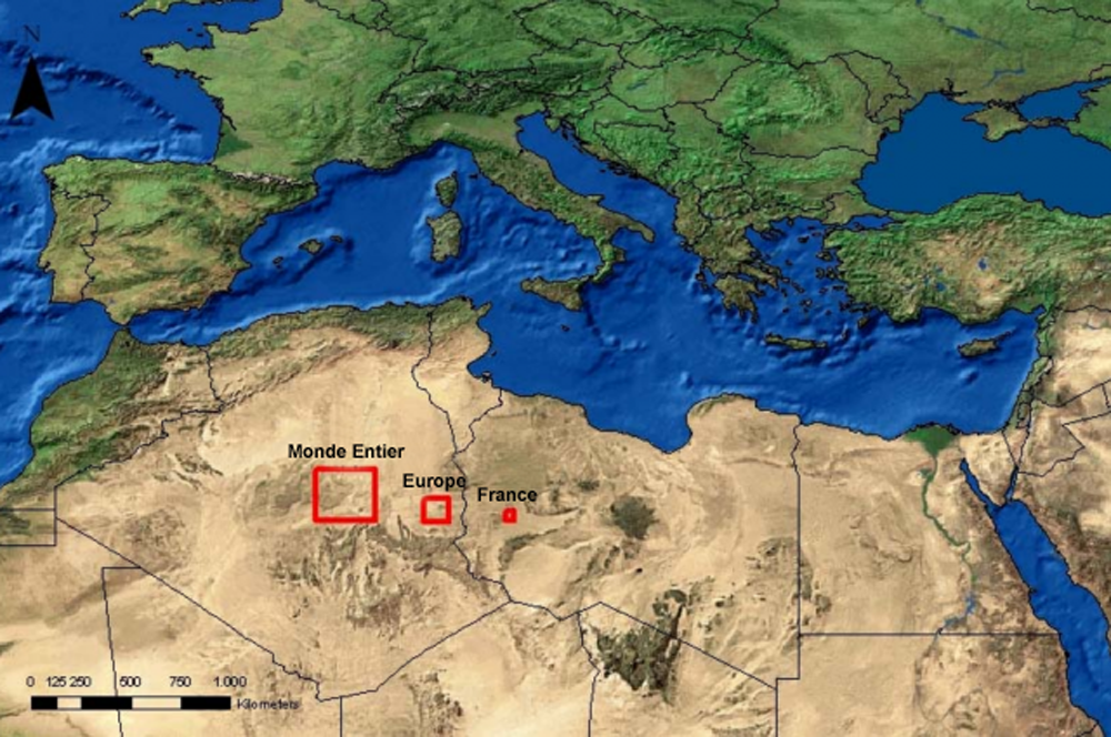 surface-panneaux-solaires quelle surface de panneaux solaires