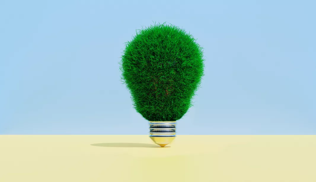 transformation-entreprise-energie-verte Comment l'énergie verte peut transformer votre entreprise