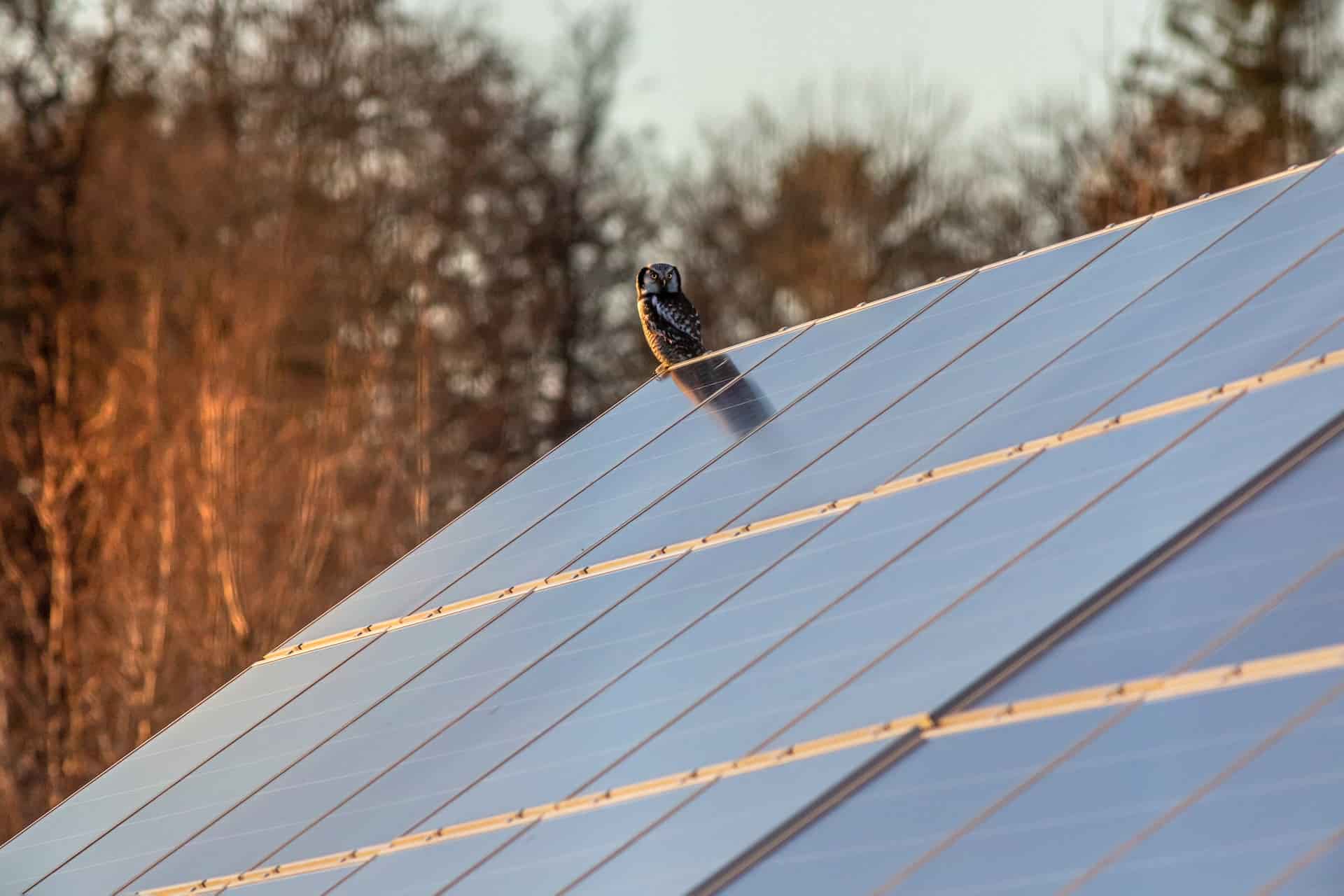 vendeur-panneaux-solaires Comment devenir un vendeur de panneaux solaires performant