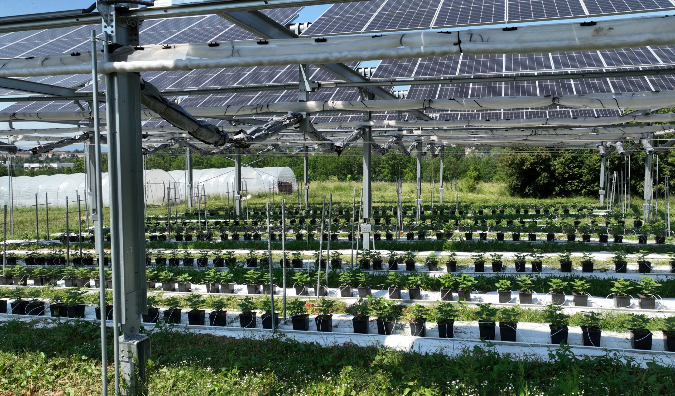 découvrez comment l'intégration des panneaux solaires dans le secteur agricole peut révolutionner la production, réduire les coûts énergétiques et promouvoir une agriculture durable. explorez les bénéfices environnementaux et économiques de cette synergie innovante.