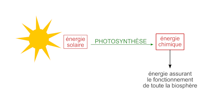 découvrez comment la transformation de l'énergie solaire révolutionne notre manière de produire de l'électricité. explorez les technologies innovantes et les avantages écologiques de cette source d'énergie renouvelable qui contribue à un avenir durable.