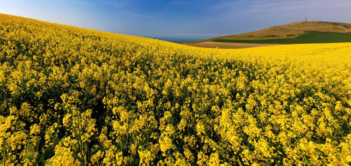 découvrez les avantages d'edf à ajaccio : tarifs compétitifs, services adaptés aux besoins des consommateurs, et initiatives pour promouvoir l'énergie renouvelable. profitez d'une électricité fiable tout en soutenant une démarche durable.