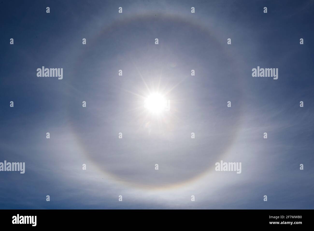 découvrez halo solar, votre solution d'énergie solaire innovante qui optimise votre consommation d'électricité tout en respectant l'environnement. profitez d'une énergie renouvelable pour un avenir durable.